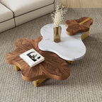 Cloud Shape Petal Form Coffee Table Set