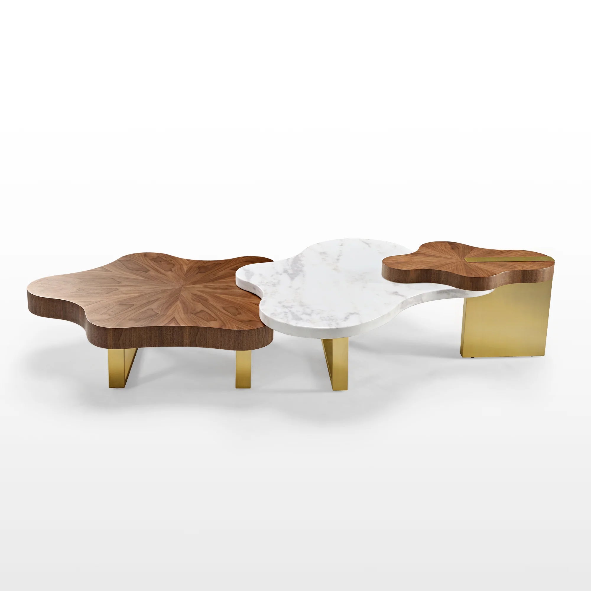 Cloud Shape Petal Form Coffee Table Set