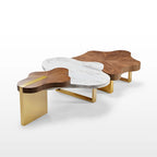Cloud Shape Petal Form Coffee Table Set