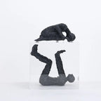 Console Table Decor – Decorative Figurine in Clear Box