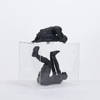 Console Table Decor – Decorative Figurine in Clear Box