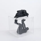 Console Table Decor – Decorative Figurine in Clear Box